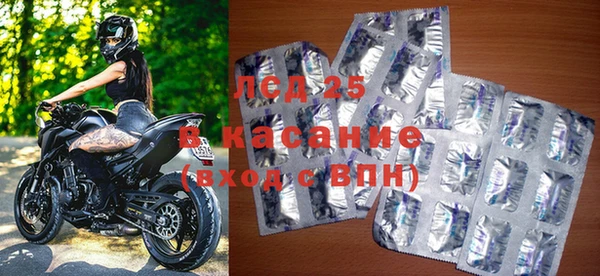 ГАЛЛЮЦИНОГЕННЫЕ ГРИБЫ Богданович