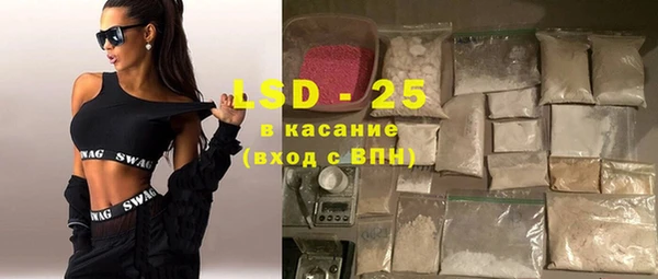ГАЛЛЮЦИНОГЕННЫЕ ГРИБЫ Богданович