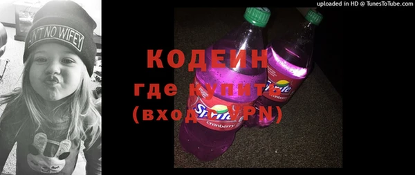 ГАЛЛЮЦИНОГЕННЫЕ ГРИБЫ Богданович