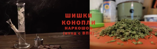 ГАЛЛЮЦИНОГЕННЫЕ ГРИБЫ Богданович