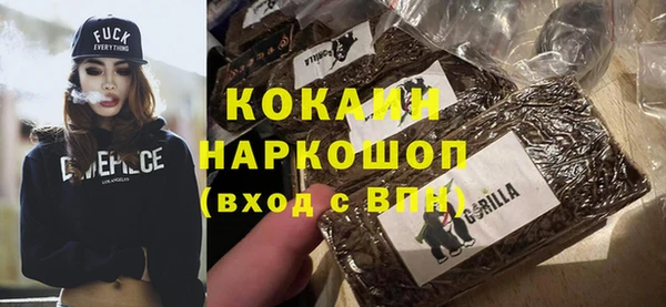 ГАЛЛЮЦИНОГЕННЫЕ ГРИБЫ Богданович
