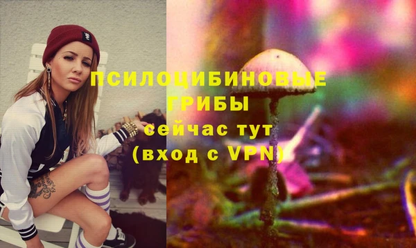 ГАЛЛЮЦИНОГЕННЫЕ ГРИБЫ Богданович