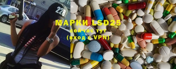 ГАЛЛЮЦИНОГЕННЫЕ ГРИБЫ Богданович