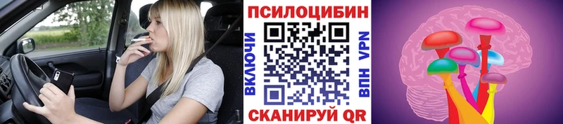 OMG ССЫЛКА  Корсаков  Псилоцибиновые грибы Cubensis  где купить наркотик 